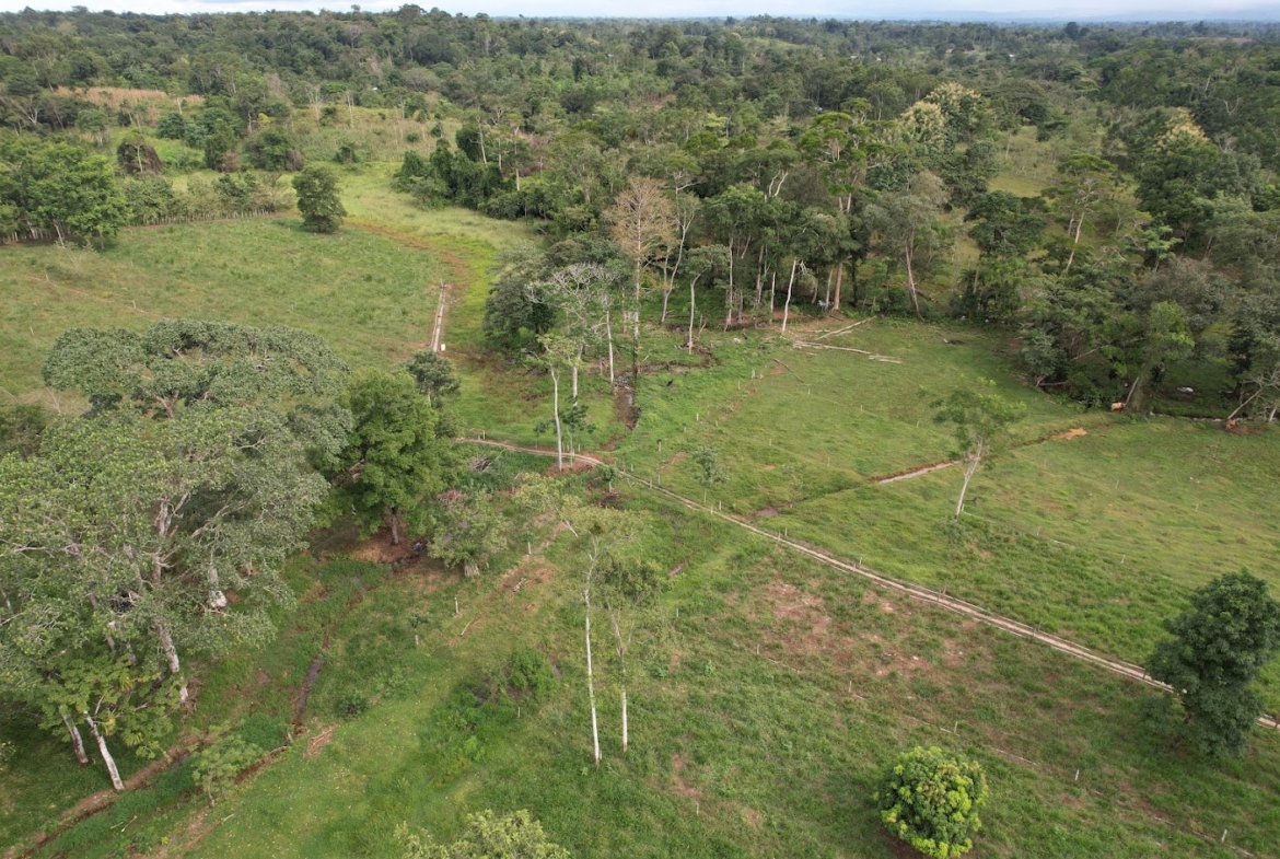 Finca Lechera en Costa Rica